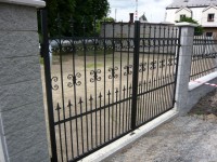 /album/fotogalerie/p1000363-jpg/